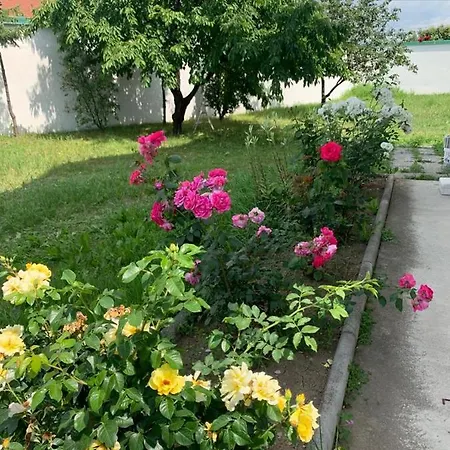 Гостевой дом Kod Bajrame *